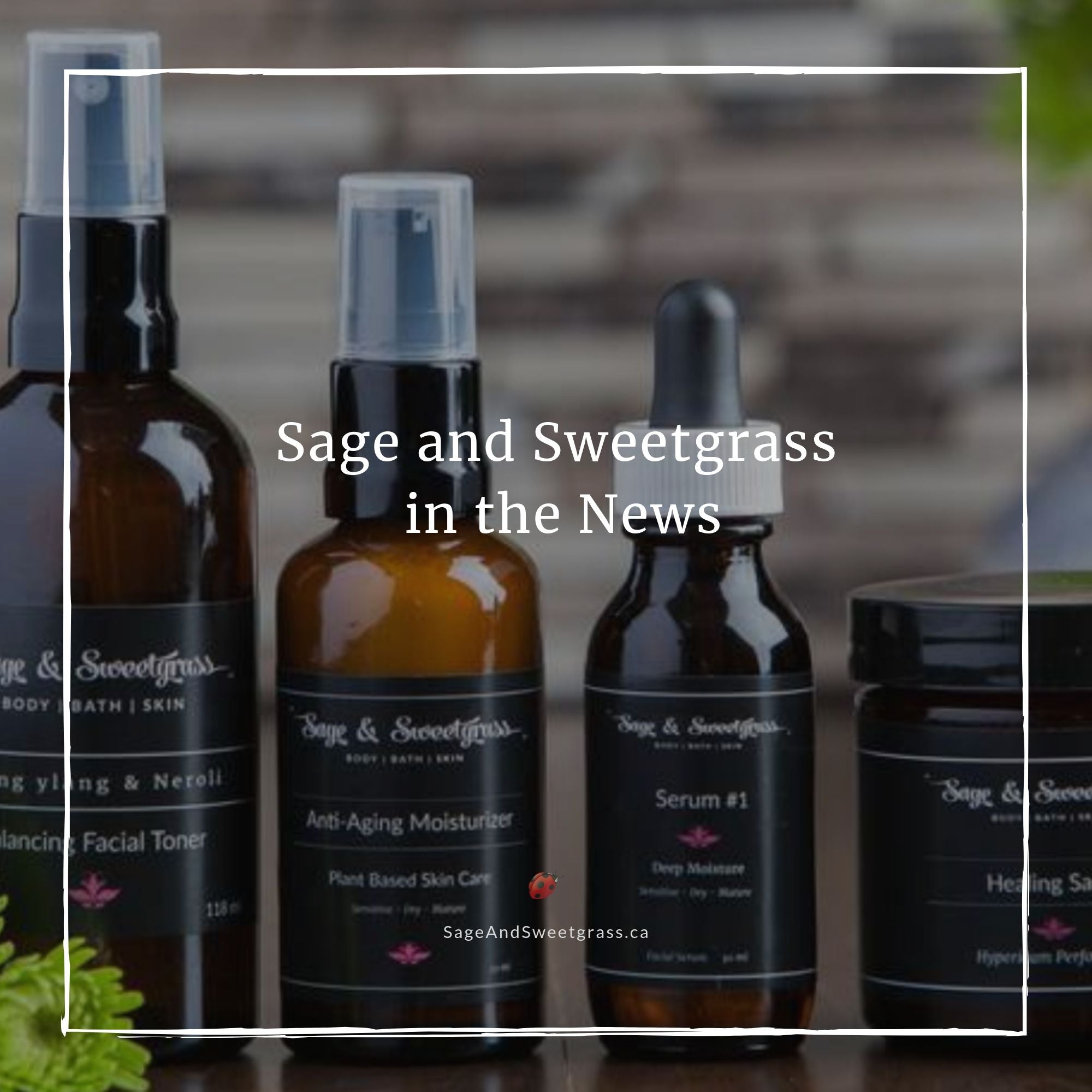 Sage and Sweetgrass in the News