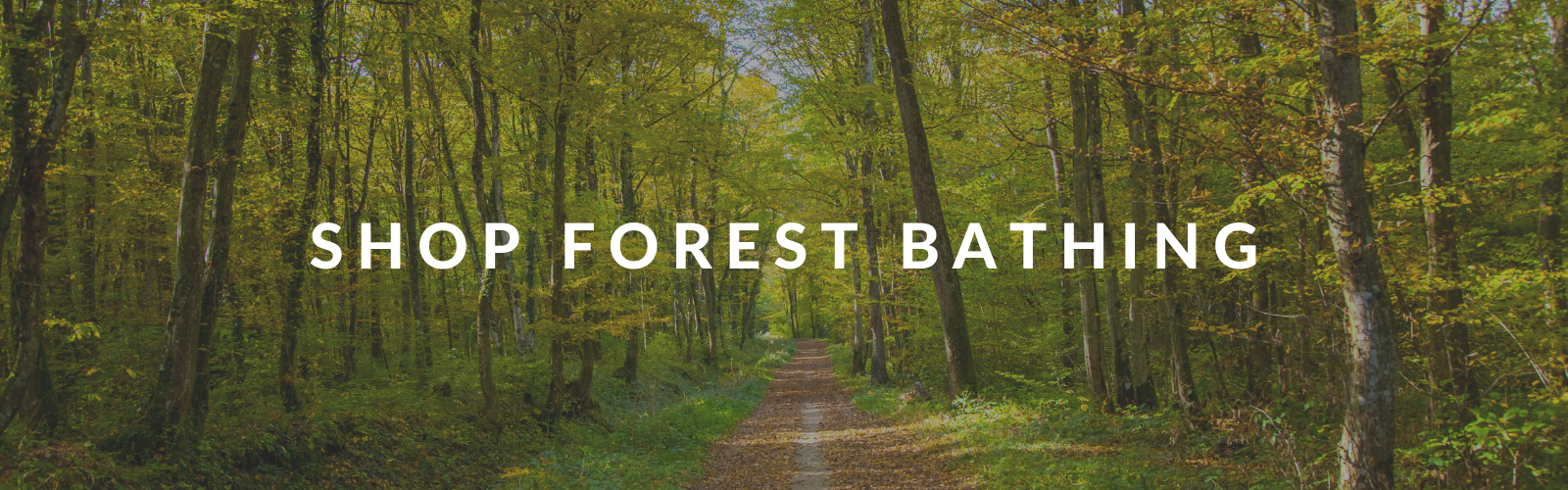 Forest Bathing Aromatherapy Collection