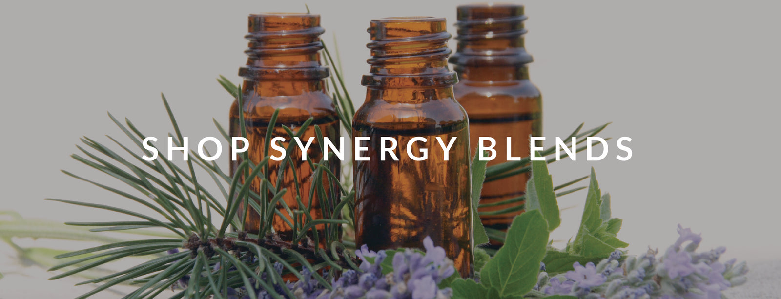Synergy Blends