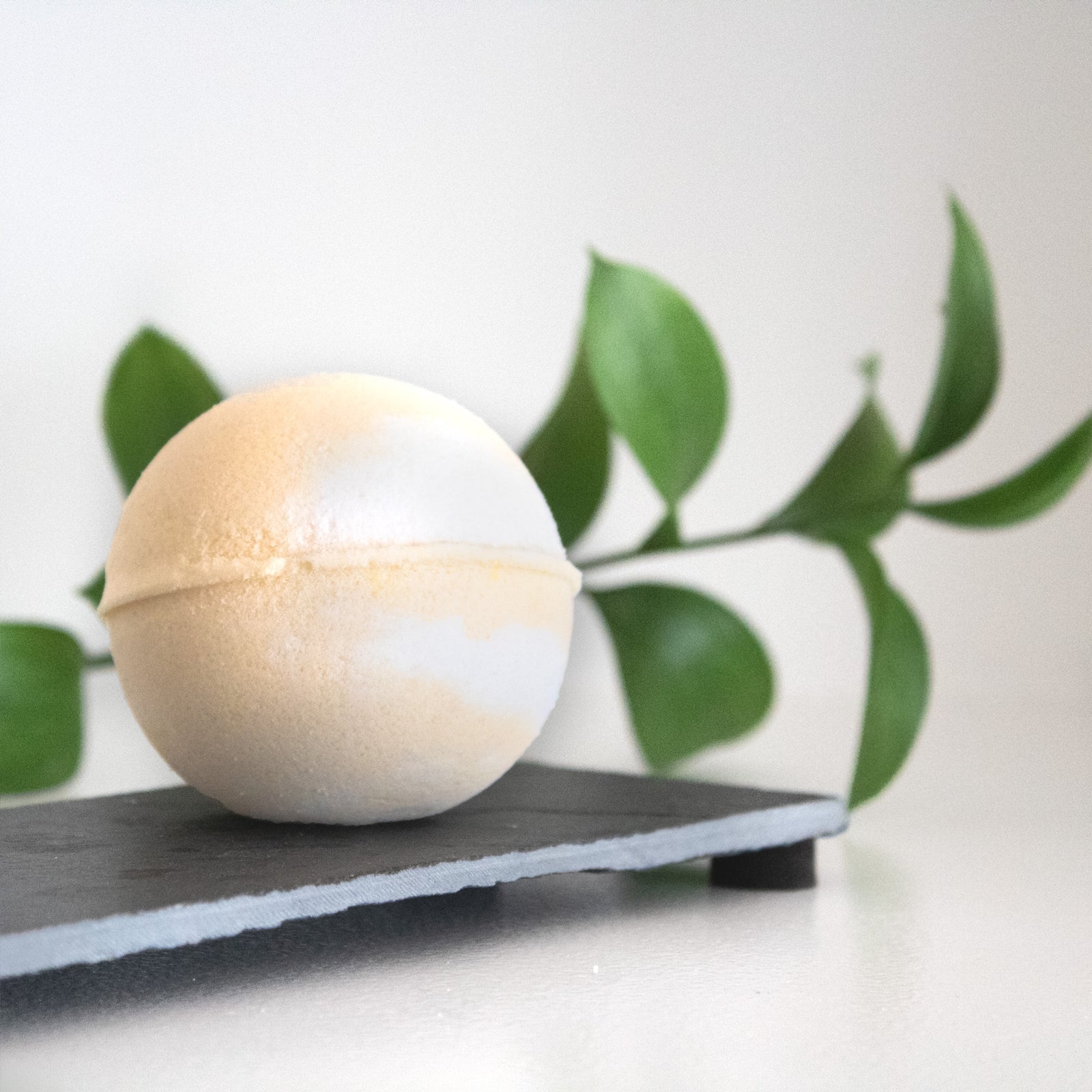Delight (Citrus)  Bath Bomb