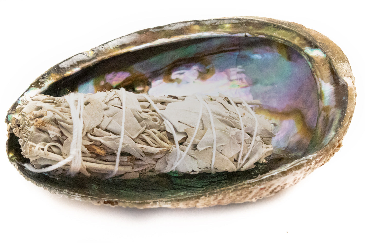 Abalone Smudging Shell