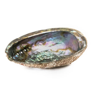 Abalone Smudging Shell