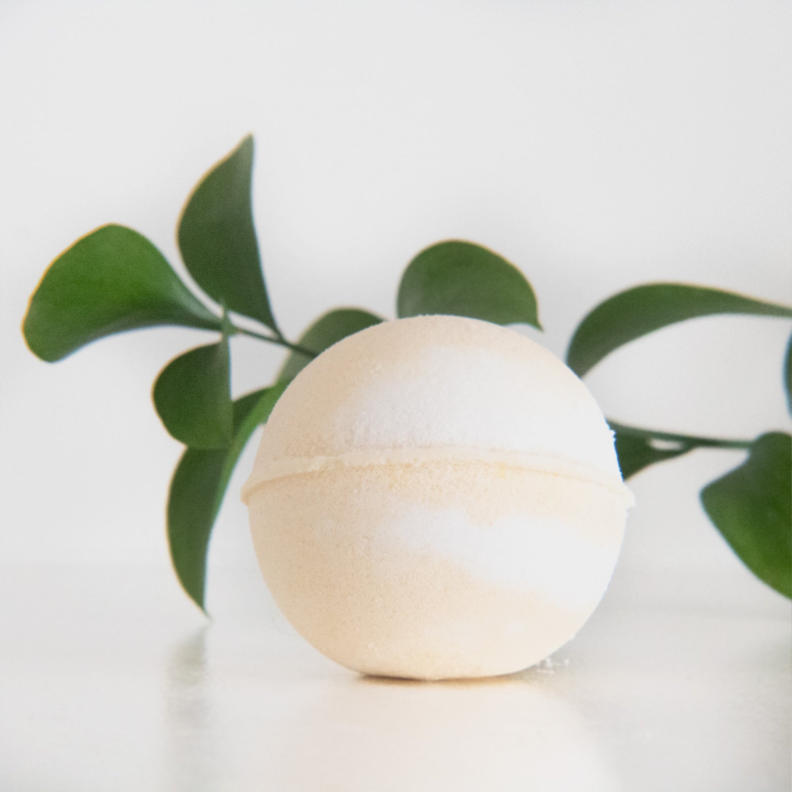 Delight (Citrus)  Bath Bomb