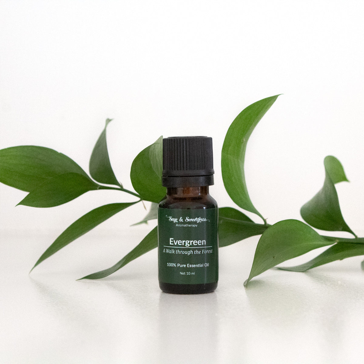 Evergreen Diffuser Blend