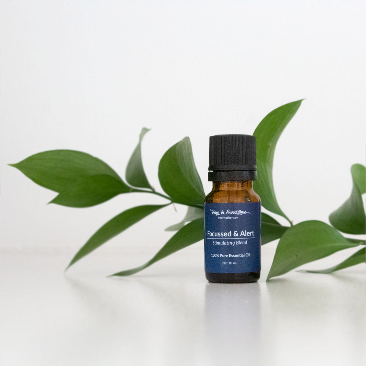 Focussed & Alert Synergy Diffuser Blend