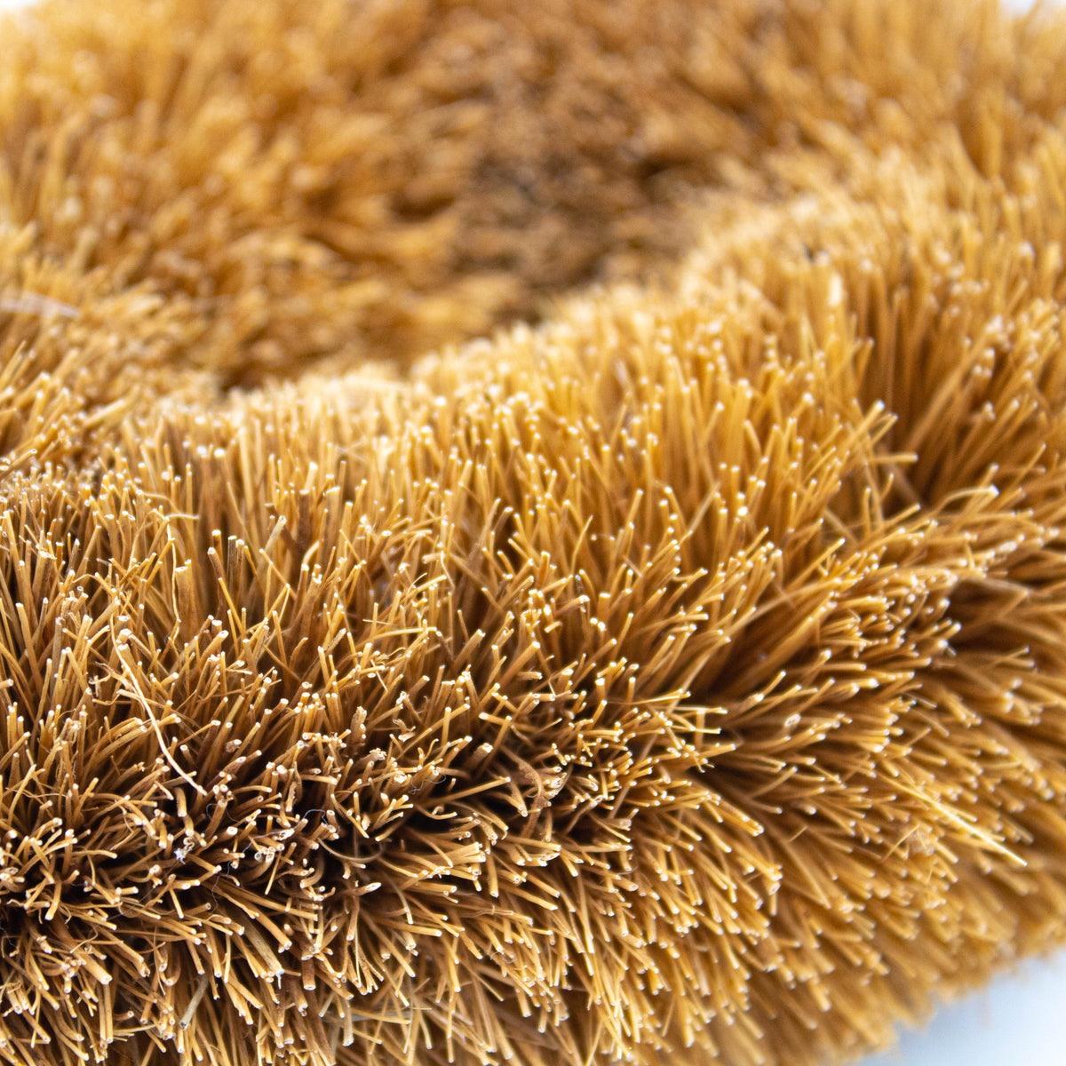 All-Natural Coconut Fiber Wet-Dry Skincare Brush