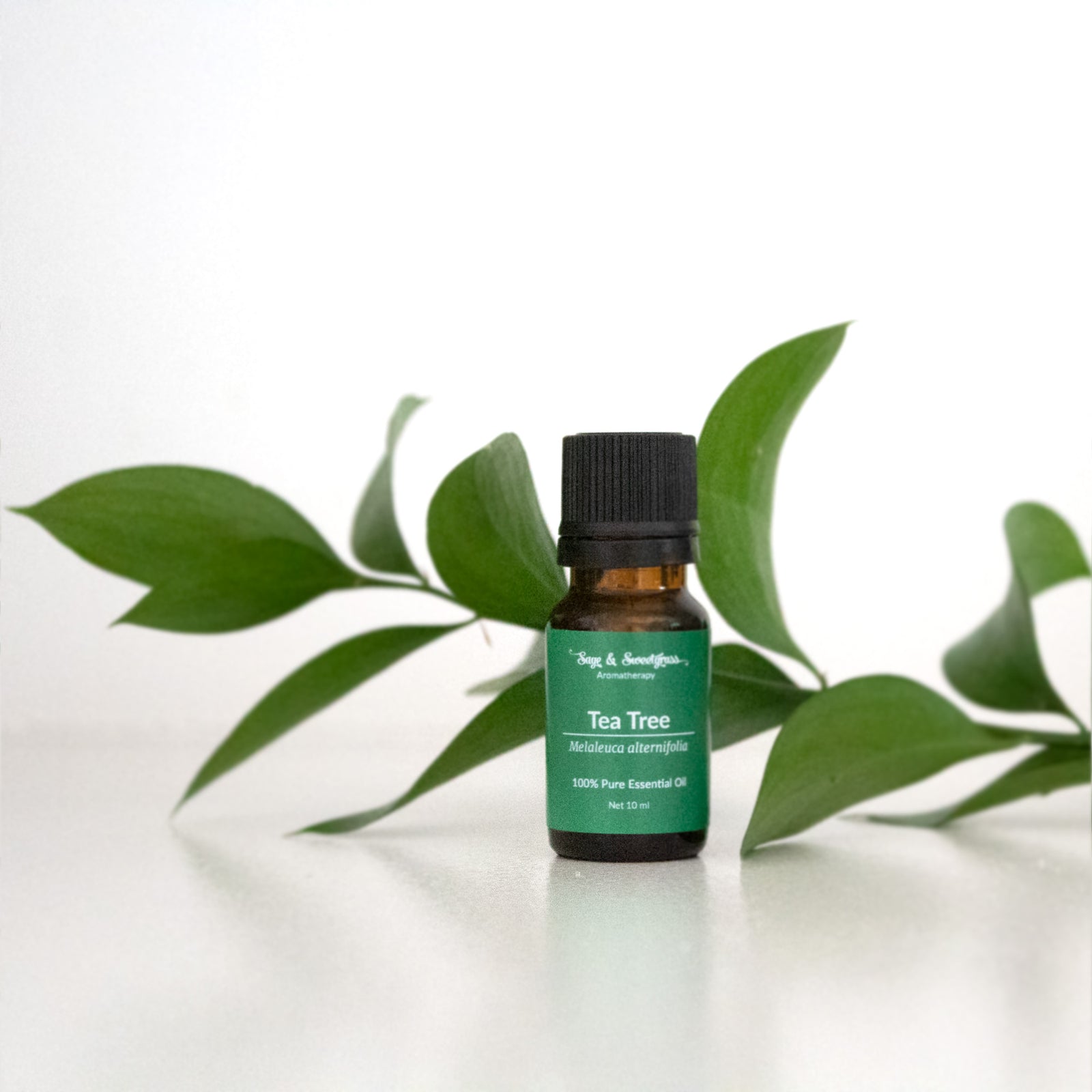 Tea Tree (AAA)